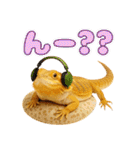 フトアゴの日常.（個別スタンプ：29）