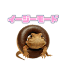 フトアゴの日常.（個別スタンプ：31）