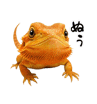 フトアゴの日常.（個別スタンプ：35）