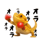 フトアゴの日常.（個別スタンプ：39）