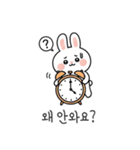 ウサギの日常スタンプ 05(KR)（個別スタンプ：19）