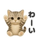 ぬいぐるみ♡ネコ♡（個別スタンプ：10）
