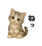 ぬいぐるみ♡ネコ♡（個別スタンプ：15）