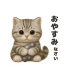 ぬいぐるみ♡ネコ♡（個別スタンプ：40）