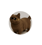 ただの猫スタンプ(（個別スタンプ：5）