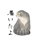 マヌルネコ・スタンプ1（個別スタンプ：9）