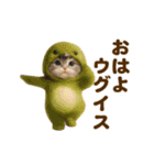 踊る！ネコたち！鳥の着ぐるみVer（個別スタンプ：5）