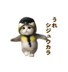 踊る！ネコたち！鳥の着ぐるみVer（個別スタンプ：14）