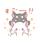 もちぷあチンチラ しろぷあ＆くろぷあ（個別スタンプ：31）