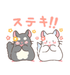 もちぷあチンチラ しろぷあ＆くろぷあ（個別スタンプ：33）