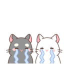 もちぷあチンチラ しろぷあ＆くろぷあ（個別スタンプ：38）
