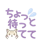 【デカ文字】ずっと使えるかわいい☆トラ猫（個別スタンプ：5）