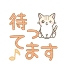 【デカ文字】ずっと使えるかわいい☆トラ猫（個別スタンプ：6）