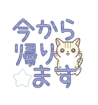 【デカ文字】ずっと使えるかわいい☆トラ猫（個別スタンプ：10）