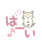 【デカ文字】ずっと使えるかわいい☆トラ猫（個別スタンプ：11）