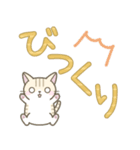 【デカ文字】ずっと使えるかわいい☆トラ猫（個別スタンプ：19）