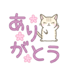 【デカ文字】ずっと使えるかわいい☆トラ猫（個別スタンプ：25）
