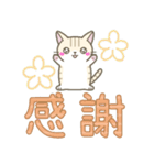 【デカ文字】ずっと使えるかわいい☆トラ猫（個別スタンプ：26）