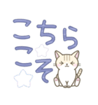 【デカ文字】ずっと使えるかわいい☆トラ猫（個別スタンプ：27）