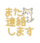 【デカ文字】ずっと使えるかわいい☆トラ猫（個別スタンプ：39）