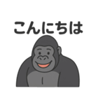 ゴリラの日常会話スタンプ Vol.1（個別スタンプ：5）