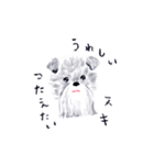 DOG DAYS by 利光 春華（個別スタンプ：16）