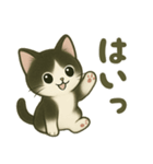 ハチワレ子猫の毎日スタンプ（個別スタンプ：2）