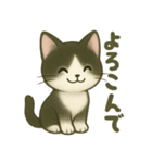 ハチワレ子猫の毎日スタンプ（個別スタンプ：6）