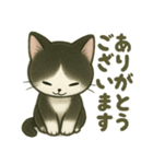 ハチワレ子猫の毎日スタンプ（個別スタンプ：7）