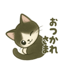 ハチワレ子猫の毎日スタンプ（個別スタンプ：11）