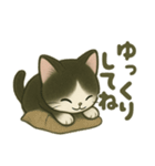 ハチワレ子猫の毎日スタンプ（個別スタンプ：13）