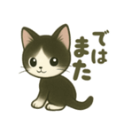 ハチワレ子猫の毎日スタンプ（個別スタンプ：14）
