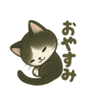 ハチワレ子猫の毎日スタンプ（個別スタンプ：18）