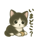 ハチワレ子猫の毎日スタンプ（個別スタンプ：22）