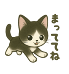 ハチワレ子猫の毎日スタンプ（個別スタンプ：25）