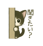 ハチワレ子猫の毎日スタンプ（個別スタンプ：31）
