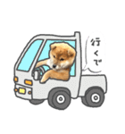 きゃわ'z-01（個別スタンプ：33）