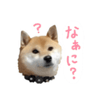 きゃわ'z-01（個別スタンプ：38）