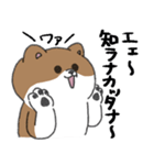 あせるねこと態度が悪いいぬ（個別スタンプ：10）
