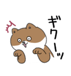 あせるねこと態度が悪いいぬ（個別スタンプ：14）