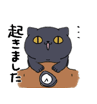 あせるねこと態度が悪いいぬ（個別スタンプ：19）