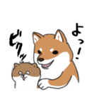 あせるねこと態度が悪いいぬ（個別スタンプ：24）