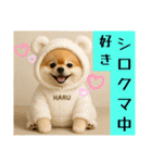 ポメラニアンのセットメニューダジャレ多め（個別スタンプ：1）