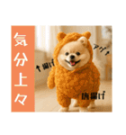 ポメラニアンのセットメニューダジャレ多め（個別スタンプ：2）