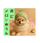 ポメラニアンのセットメニューダジャレ多め（個別スタンプ：8）
