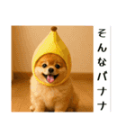 ポメラニアンのセットメニューダジャレ多め（個別スタンプ：12）