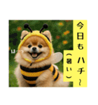 ポメラニアンのセットメニューダジャレ多め（個別スタンプ：15）