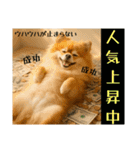 ポメラニアンのセットメニューダジャレ多め（個別スタンプ：17）