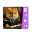 ポメラニアンのセットメニューダジャレ多め（個別スタンプ：23）