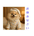 ポメラニアンのセットメニューダジャレ多め（個別スタンプ：37）